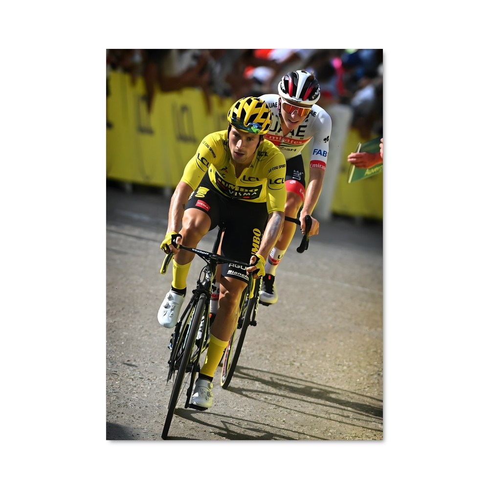 Poster La Route Sauvage – affiche Cyclisme